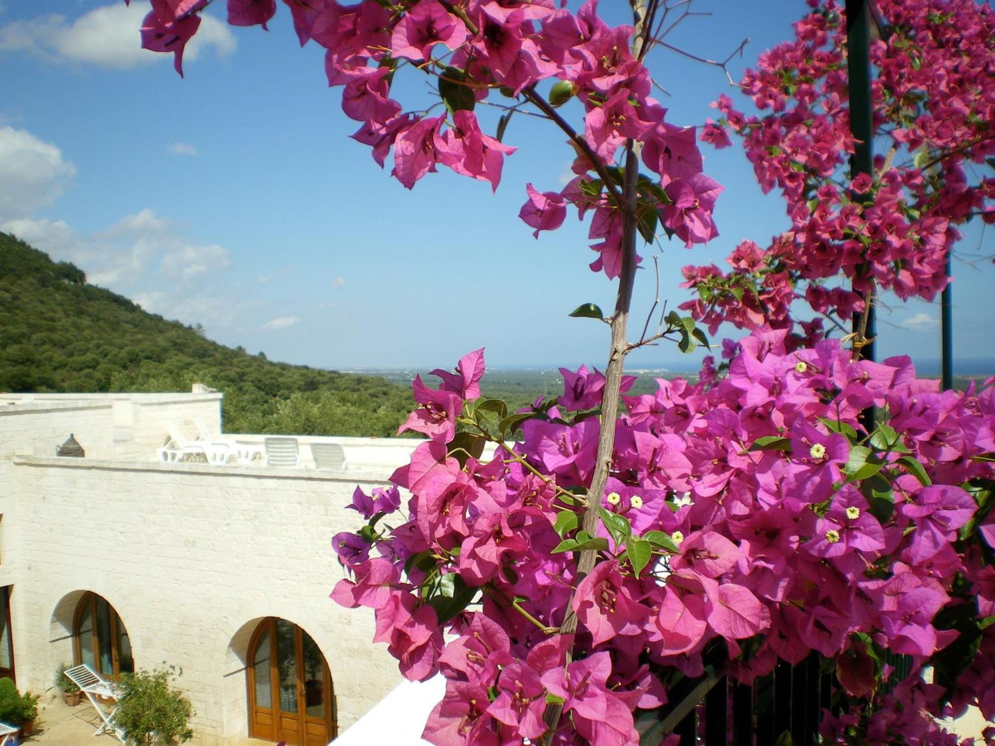 Masseria Morrone Ostuni Exterior photo