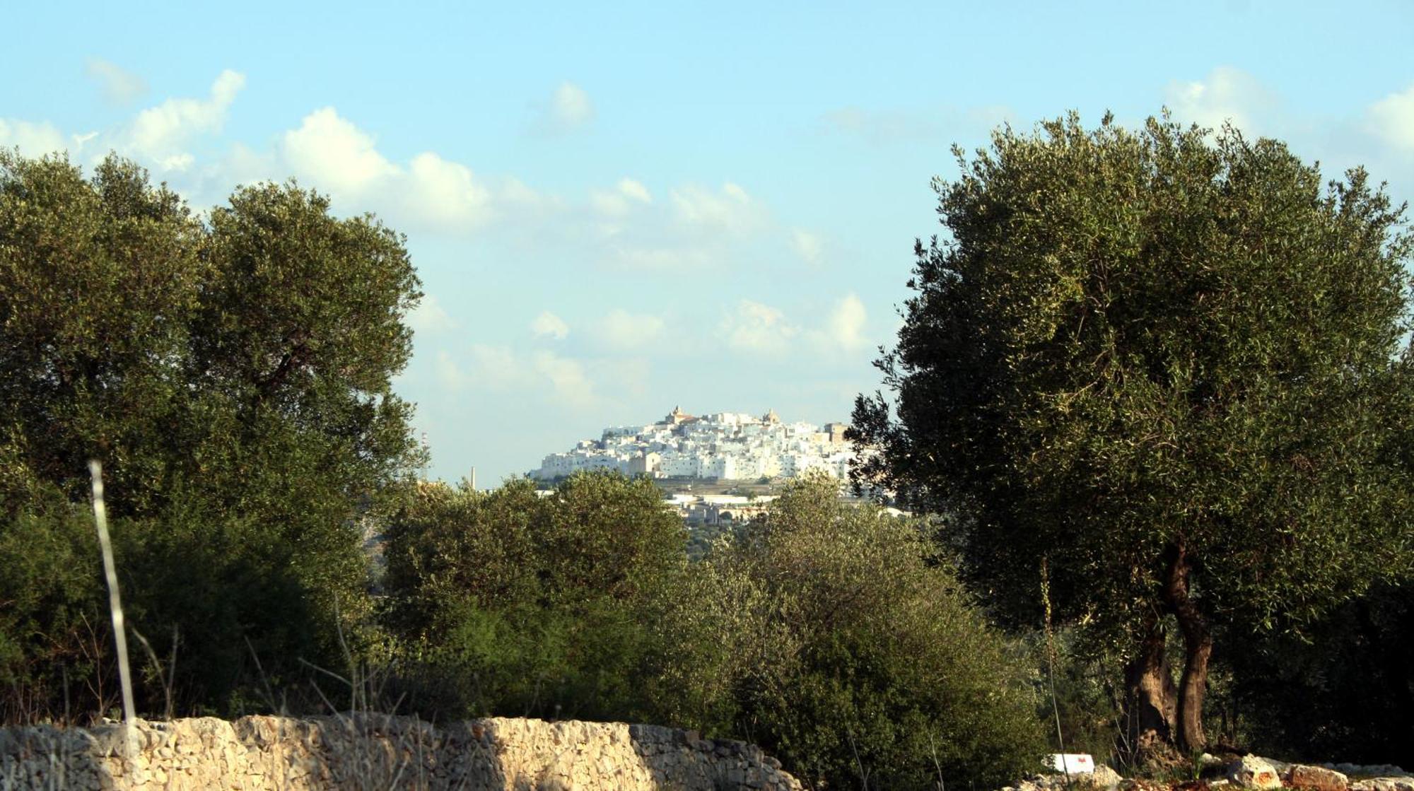 Masseria Morrone Ostuni Exterior photo